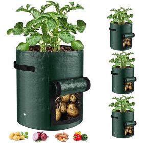 10 Gallon -6 Pack Potato Grow Bags (Option: Pop Art)